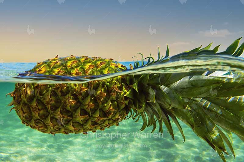 Pineapple Split