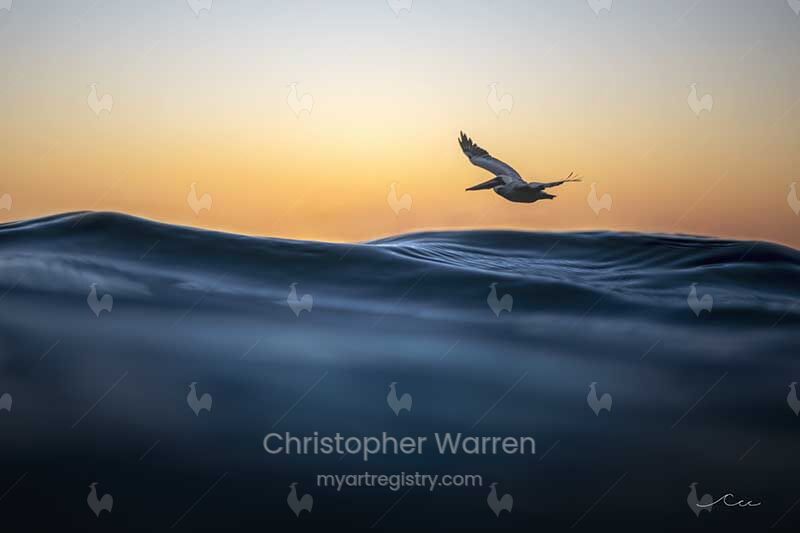 Navigating 