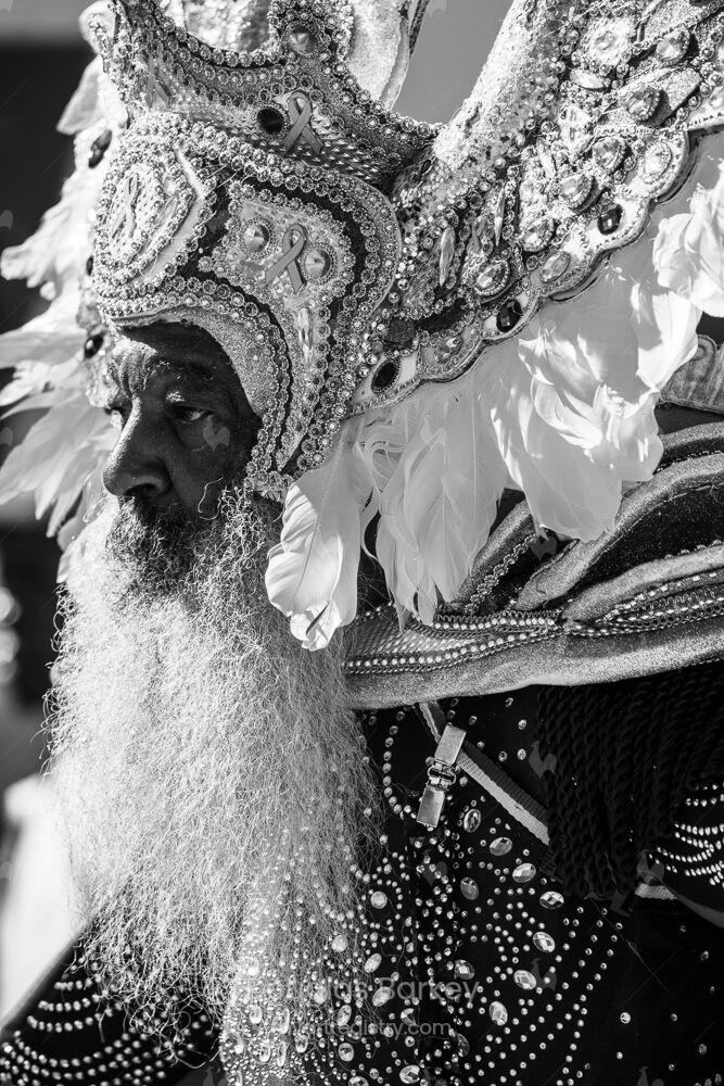 Junkanoo Elder